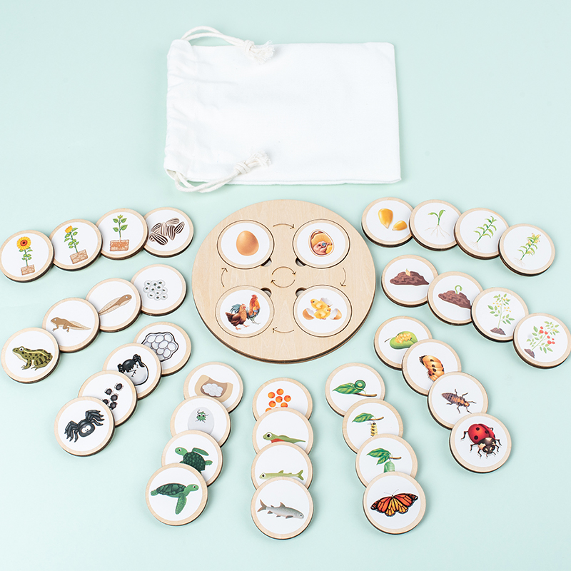 Life Cycle Board Montessori Ki - огляд і ціна Science Nature